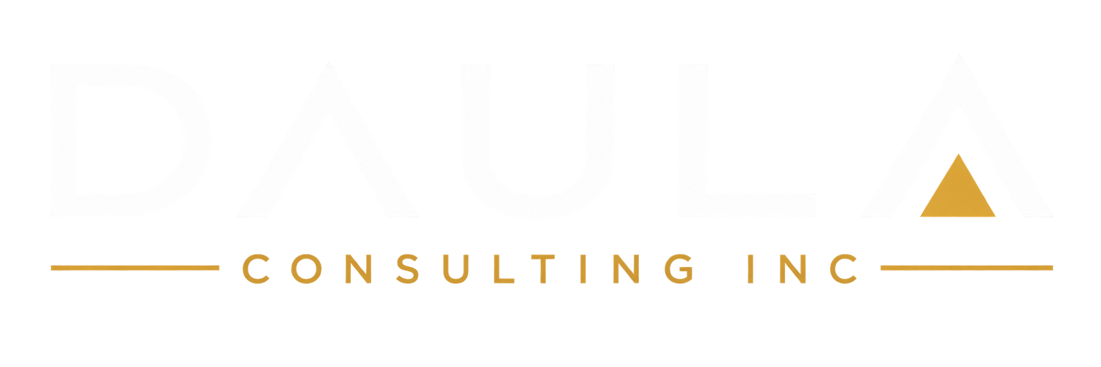 Daula Consulting Inc.